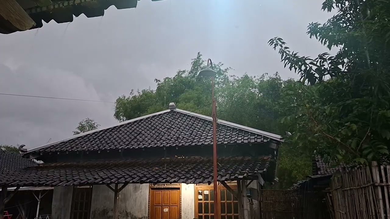 Calming Rain in the Dark Forest 🌧️ ASMR Nature Sounds for Sleep