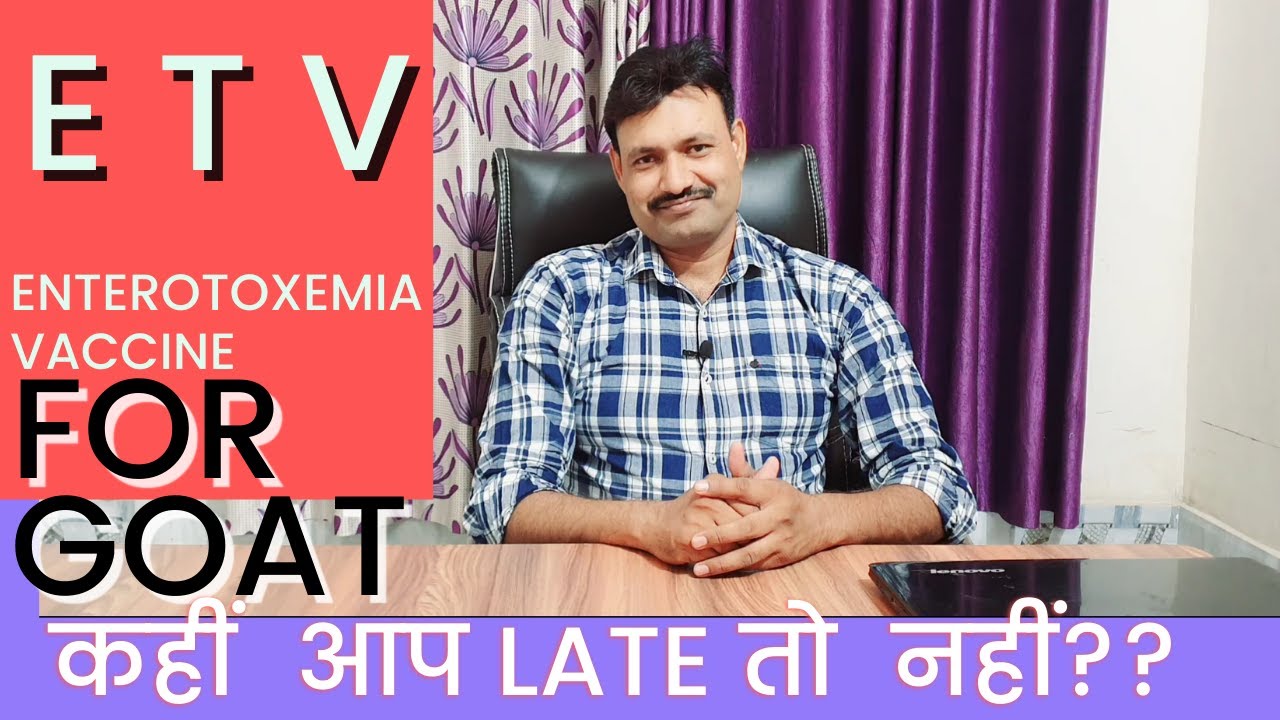 ETV vaccine in Goats dose / Enterotoxaemia Vaccine / Raksha ET+TT vaccine