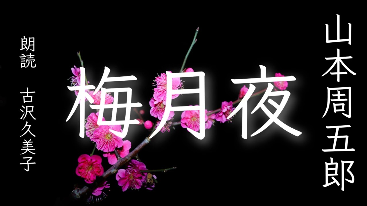 【朗読】山本周五郎「梅月夜」