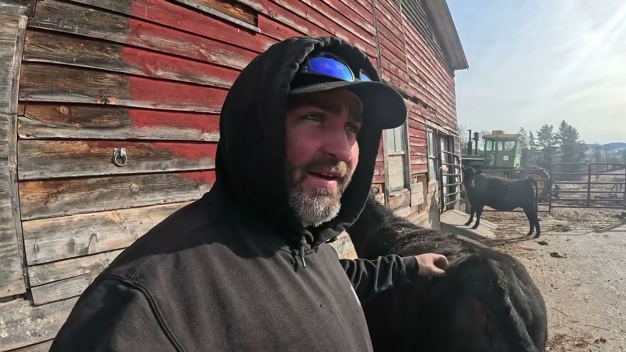 В компании Duffy Ag Cattle Co. настало время родео.