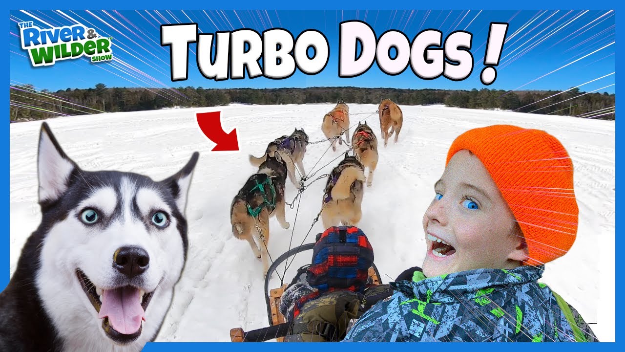 Kids DOG SLEDDING Birthday SURPRISE!? - River & Wilder Family Fun Adventures