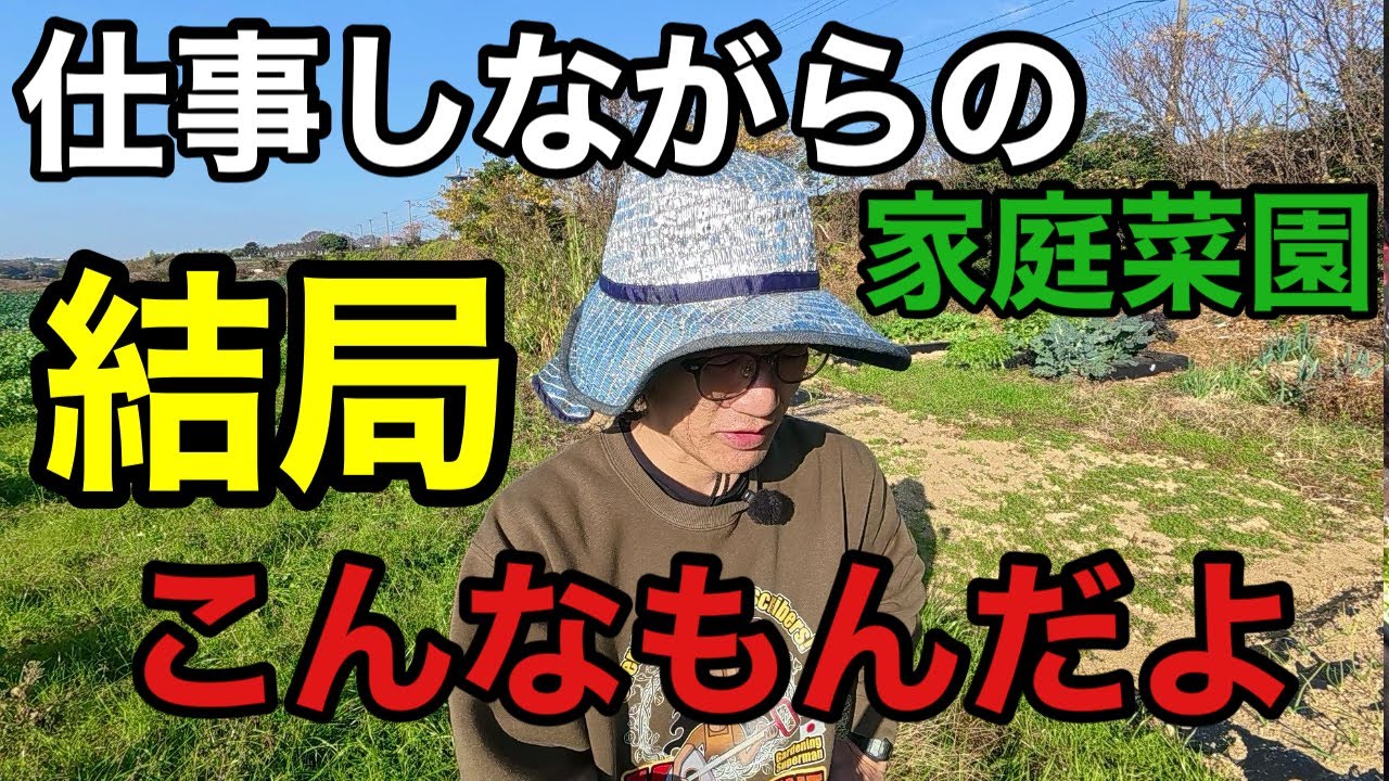 11月から1ヶ月畑に行かなかった結果。。。【園芸超人カーメン君】