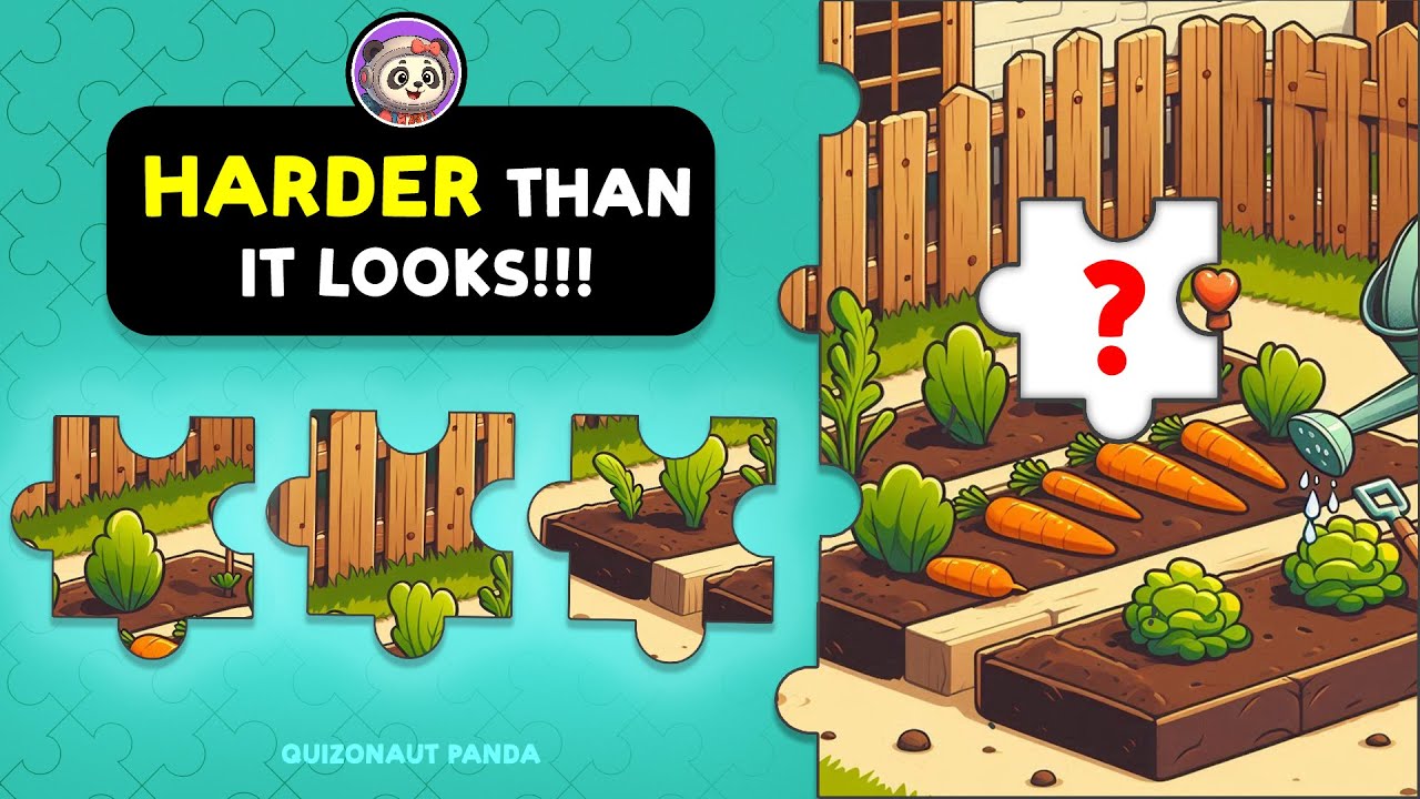 🐼🧩 This Puzzle Looks Easy Until You Try It 🧩🐼 | Quizonaut Panda