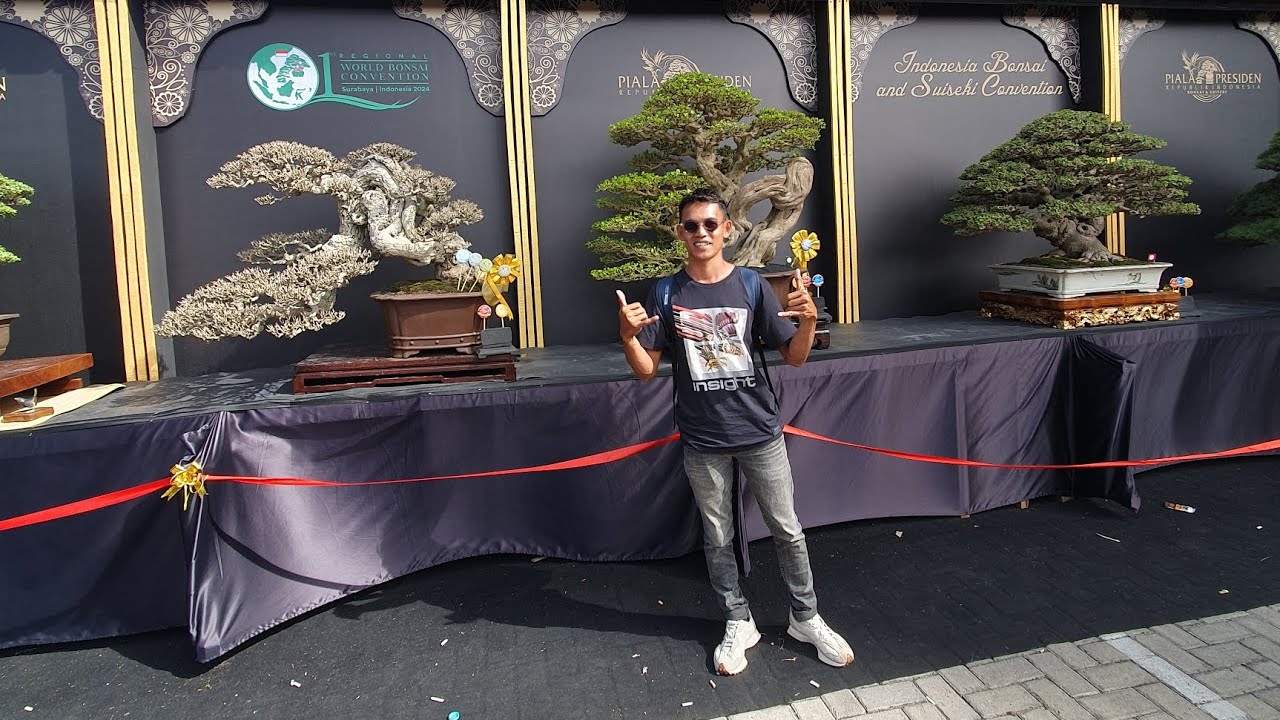 pameran dan kontes Bonsai & suiseki piala presiden 2024