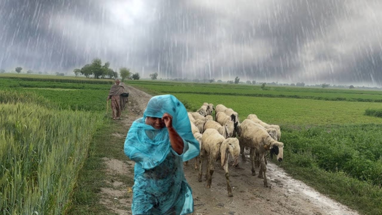 Heavy Rain and Storms The Nomadic Village of Pakistan 🇵🇰 