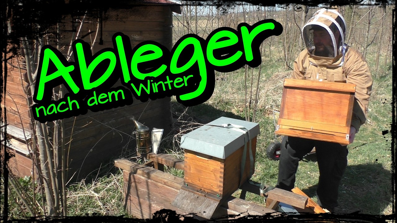 Bienen Ableger nach dem Winter umsetzen