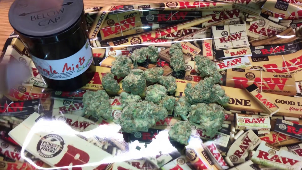 Triangle mints weed strain (octagon kush)