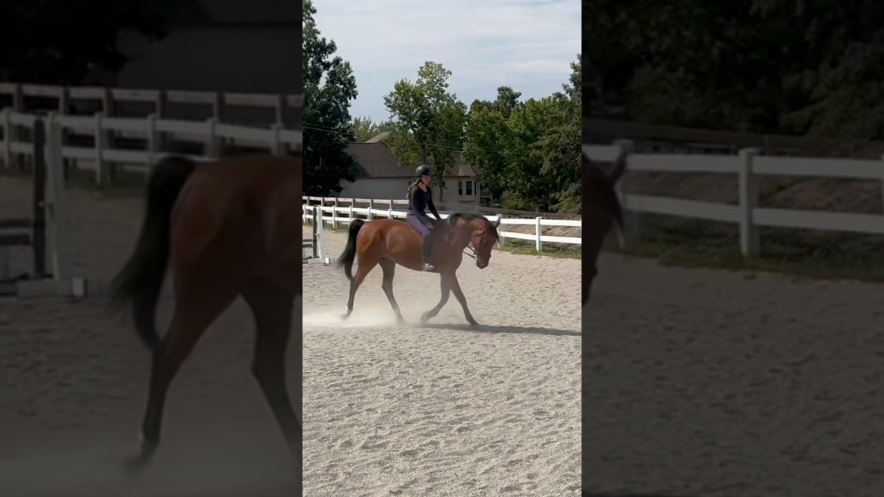 Okay the frame bareback is eating so hard ngl🤯🤯