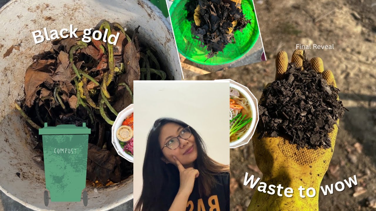 It smelled, it molded but did it work? From waste to black GOLD  🌱