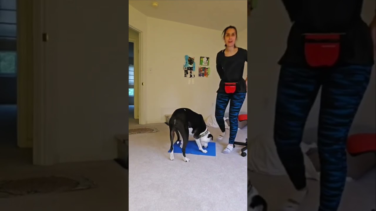 Relaxation Protocol Overall Day 6: IG Live