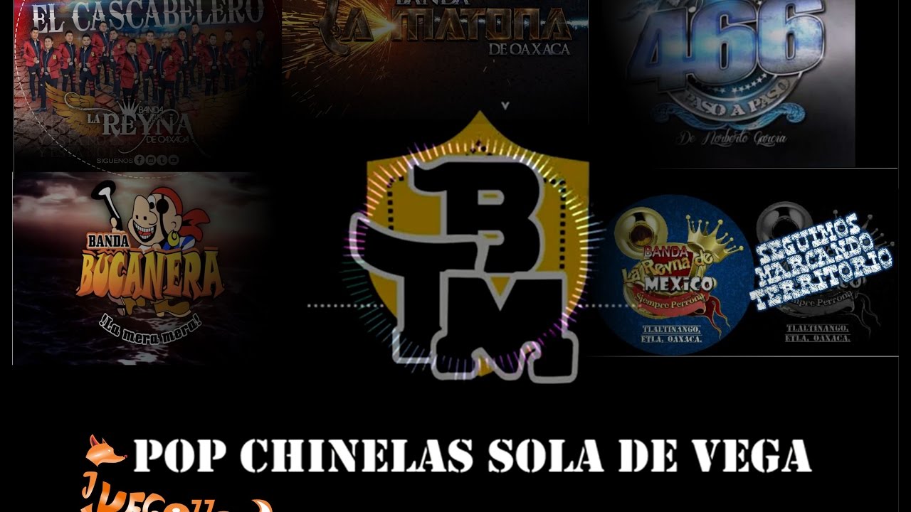 Las más Carnavaleras y Sones de Vega [TIERRA MOJADA/BANDA BUCANERA/BANDA MATONA] Y MAS....