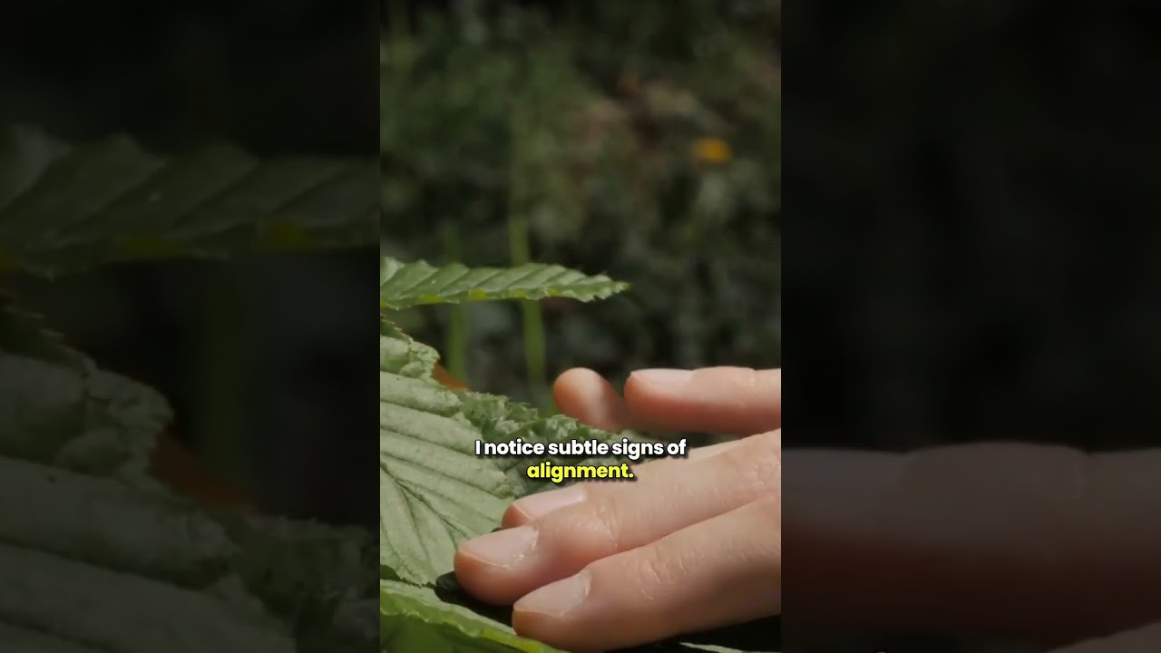 Everything Will Make Sense One Day. 