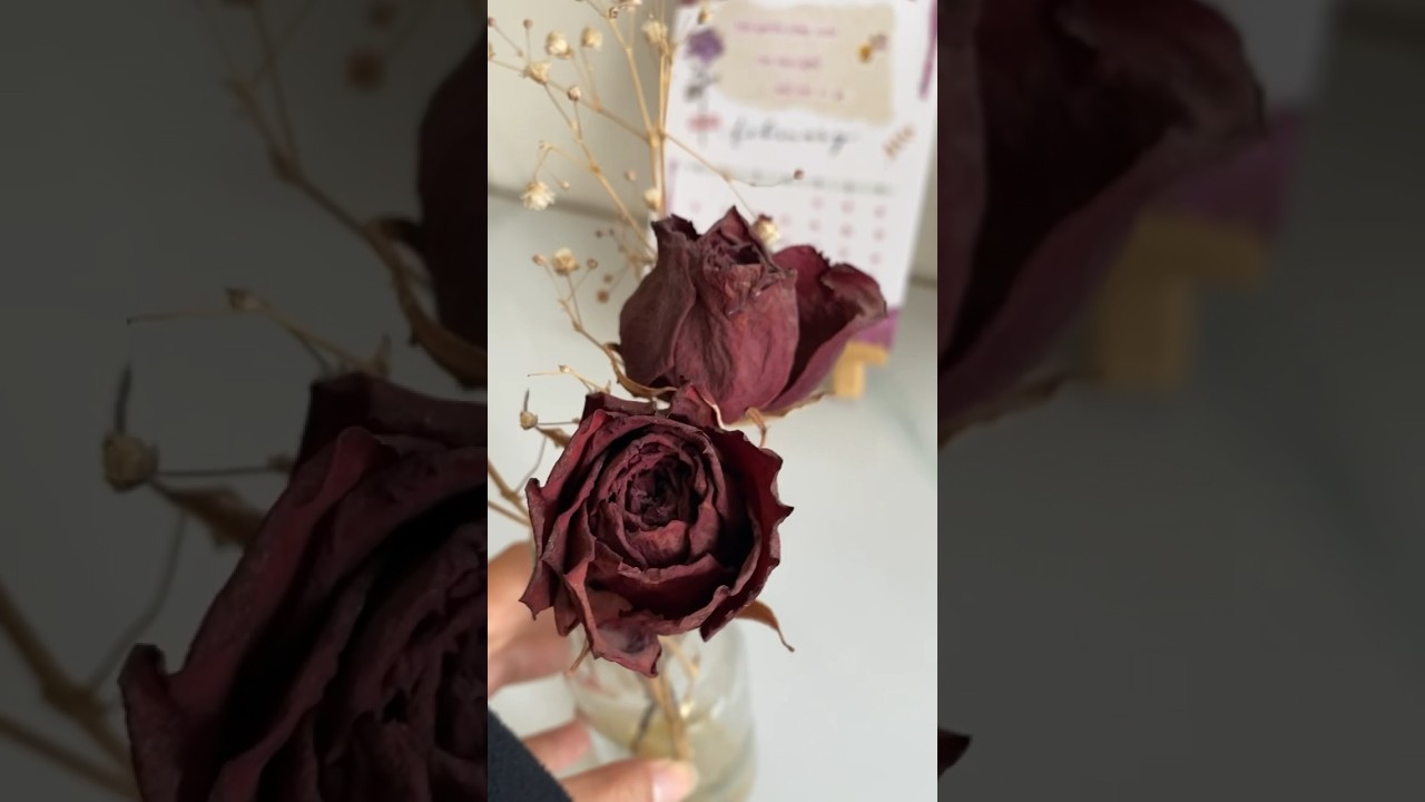 Как сушить розы, чтобы они не потеряли свою форму #сухоцветы #розы #шорты