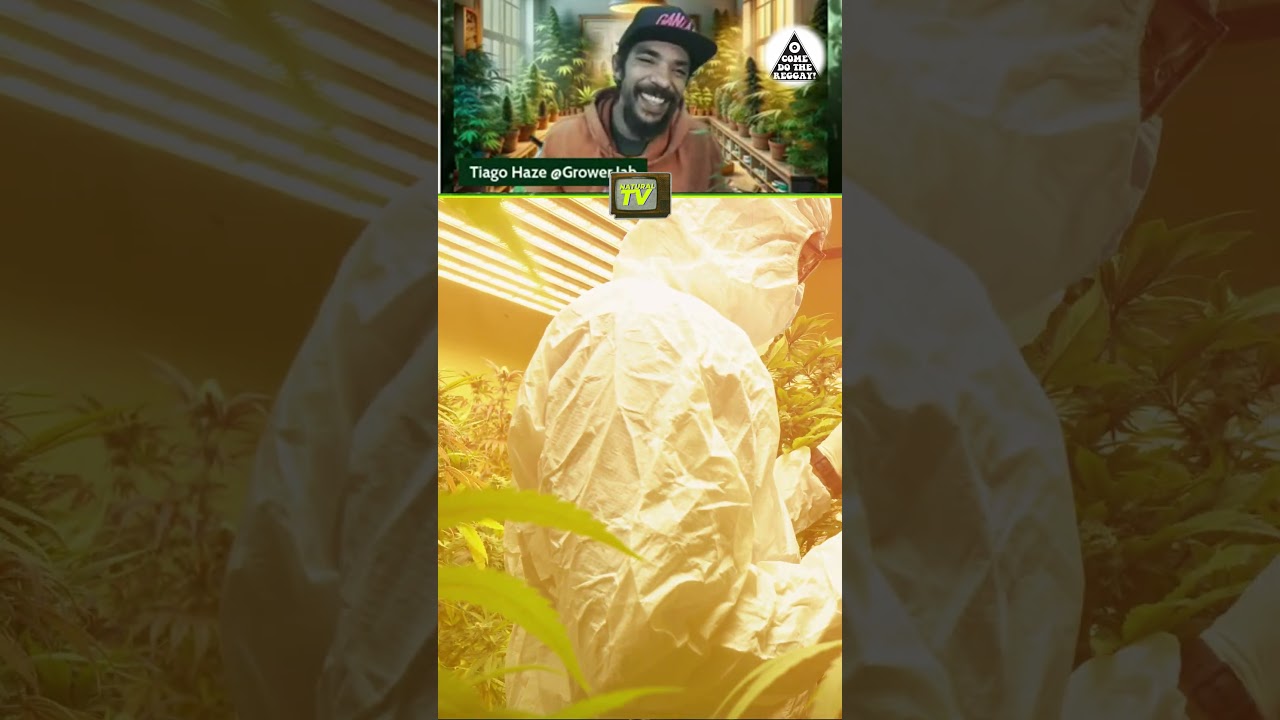A Rede Social do Jardineiro! 💻 Vem pra Ganza.app e comece a montar o seu portf&oacute;lio tamb&eacute;m!
