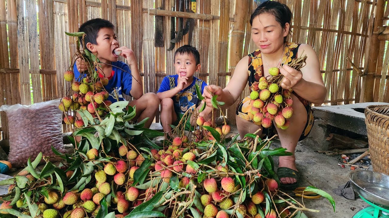 Harvesting fabric and selling it to buy clothes for my two sons, leading a happy life with them