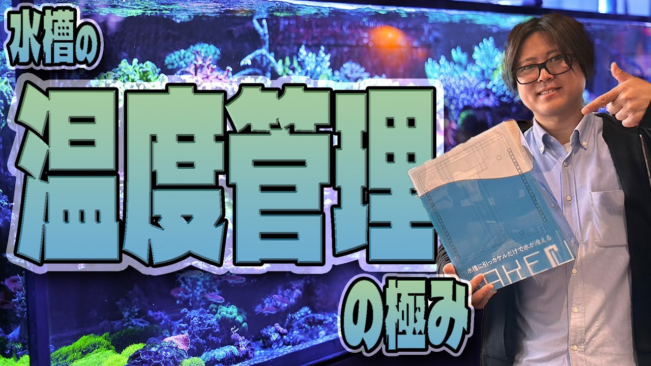 水槽の温度管理の極み！ショートマンTV！