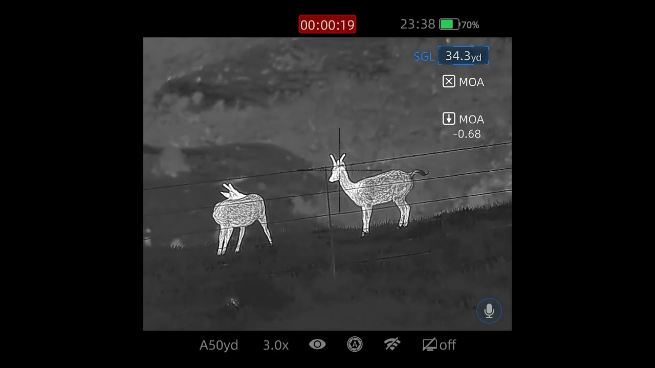 Pest control fallow deer 22lr 40gr subsonic. Infiray Rico mk2 rh50r #infiray