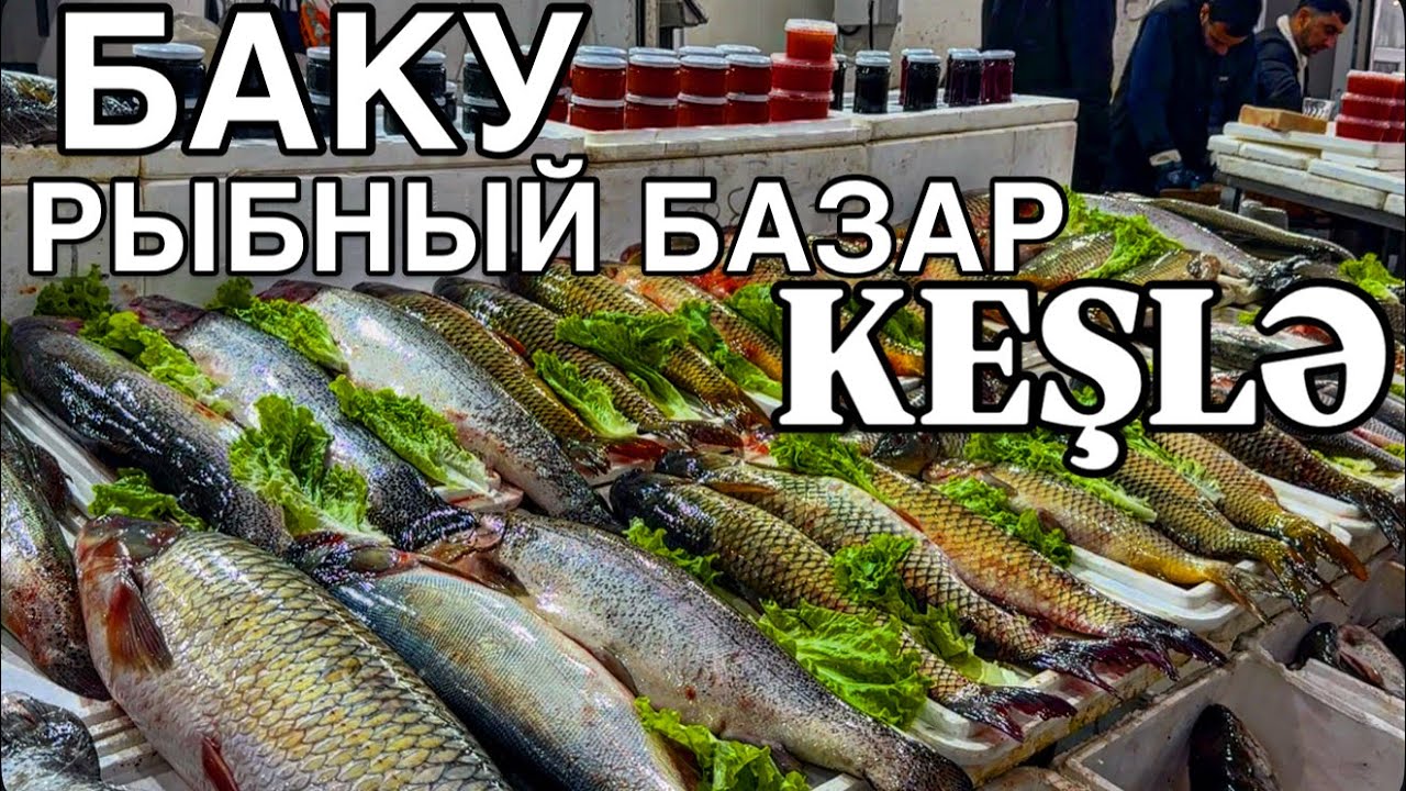 💥БАКУ.РЫБНЫЙ БАЗАР КЕШЛЯ‼️ИКРА,ОСЕТРИНА,БЕЛУГА,ФОРЕЛЬ‼️ЦЕНЫ⁉️BAKU.BALIQ BAZARI#baku#еда#обзор#yummy#