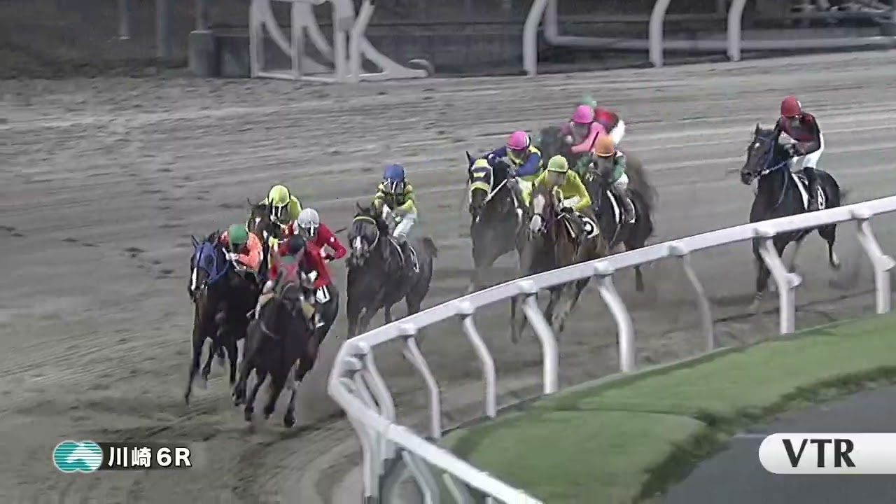 川崎競馬ダイジェスト（2025年10月14日）