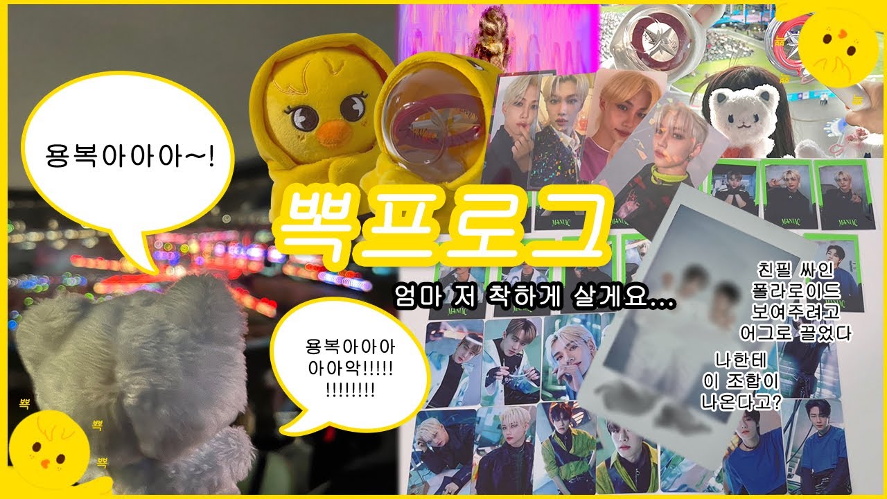 [STAY VLOG] 친필싸인 폴라로이드?! | 야간 물류 뛰고 서울페스타 다녀왔다 | 매니악 MD 깡 | 준등기깡 | ice.cream 최고 | 덕질 브이로그