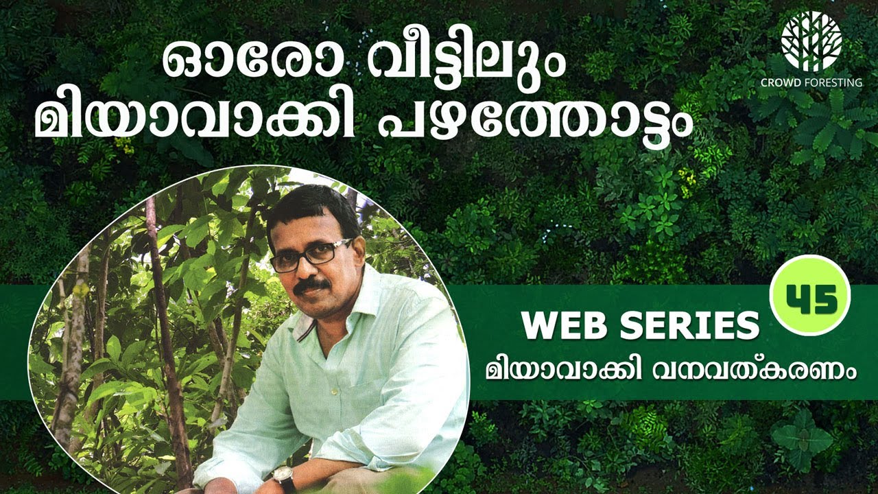 ഓരോ വീട്ടിലും മിയാവാക്കി പഴത്തോട്ടം | Miyawaki Fruit Forest in every house | Web Series #45