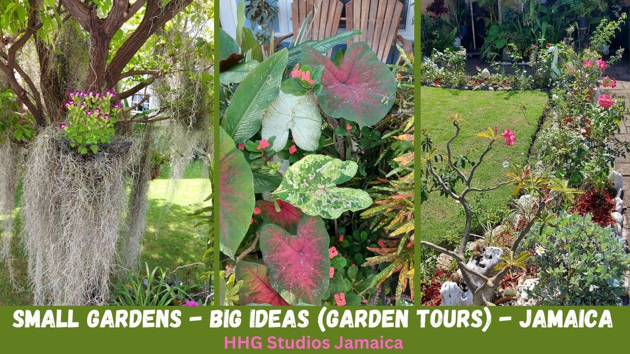SMALL GARDENS - BIG IDEAS || JAMAICA