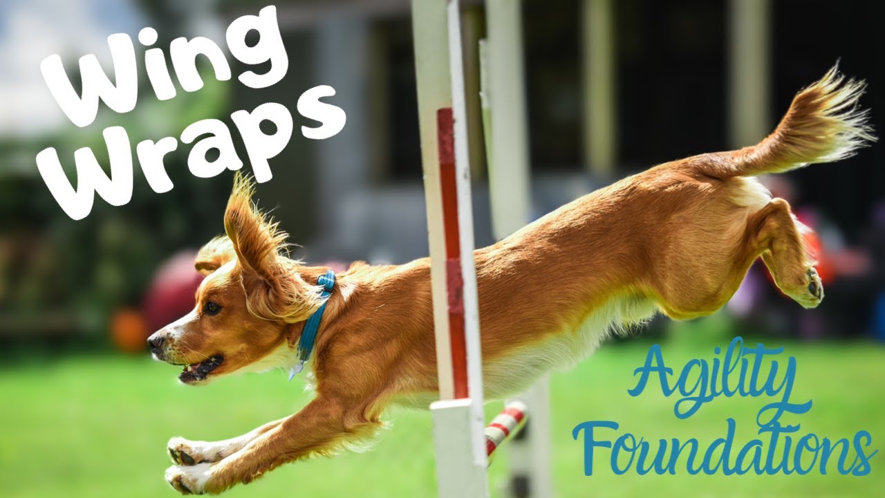 Agility Foundations: Wing Wraps