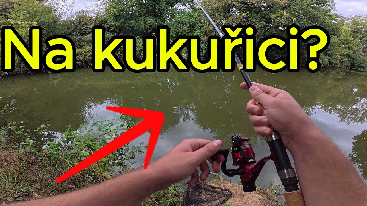 Komu už chybý léto? Feeder na řece 🐋🎣