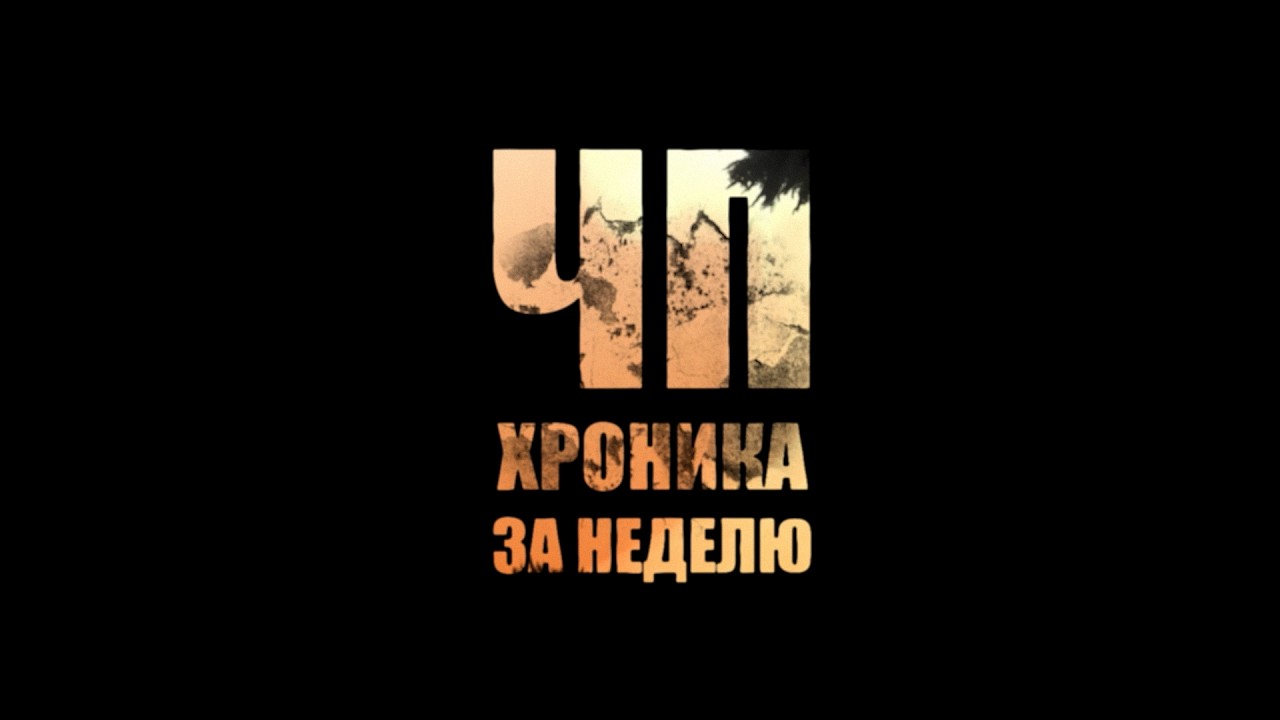 Срок за поджог, нарядный вор и чаты-ловушки в программе «ЧП.Хроника за неделю»