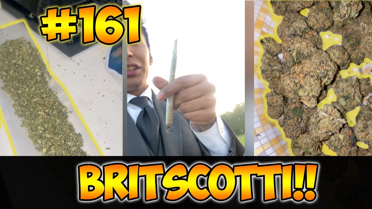 3.5 of Britscotti!! Review!! #161