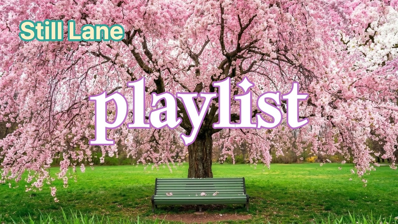[playlist] 마침내 발견한 고요, 봄날의 숨은 아지트 (the secret hideout) | Still Lane