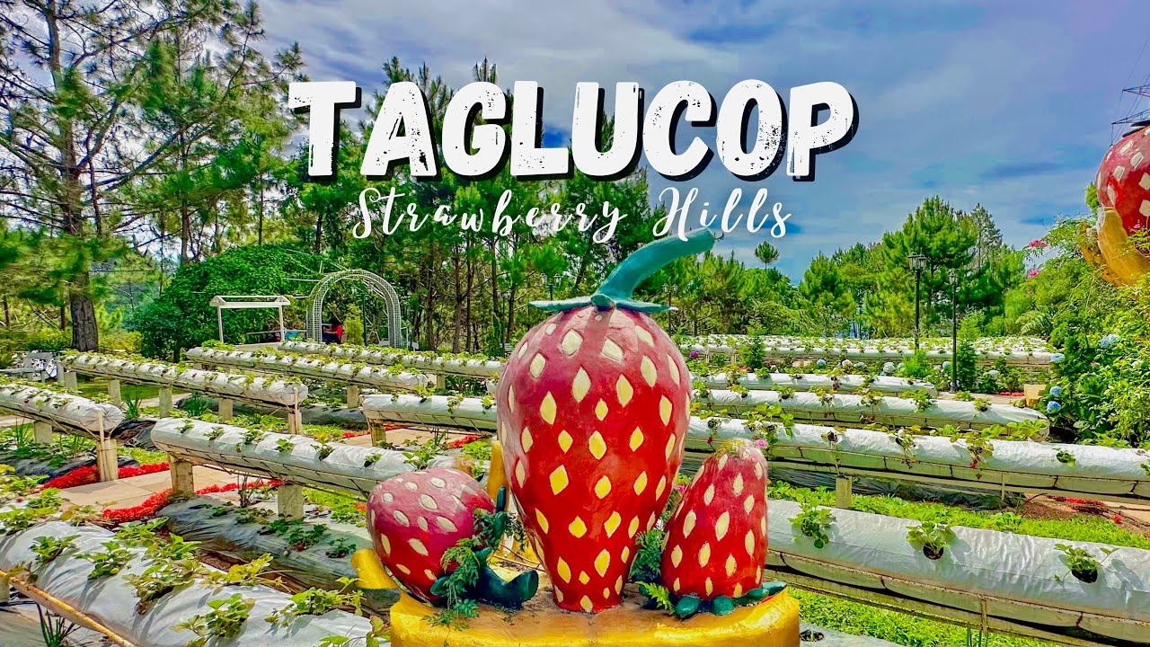 Taglucop Strawberry Hills | Glamping, Resto & Tiny Houses in Lorega, Kitaotao, Bukidnon, Philippines