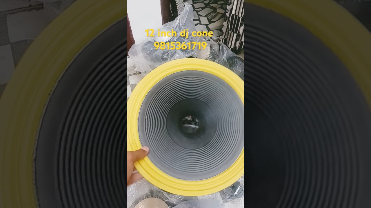12 inch Dj cone #shorts #trendingshorts #viralshorts #speaker