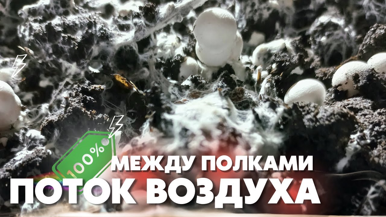 Поток воздуха между полками,рабочий метод,своими руками