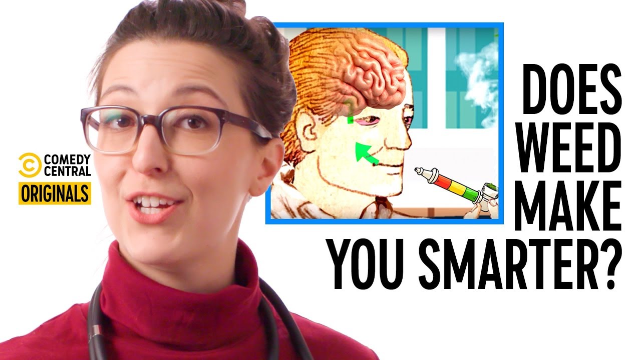 Does Weed Make You Smarter? &ndash; Your Worst Fears Confirmed