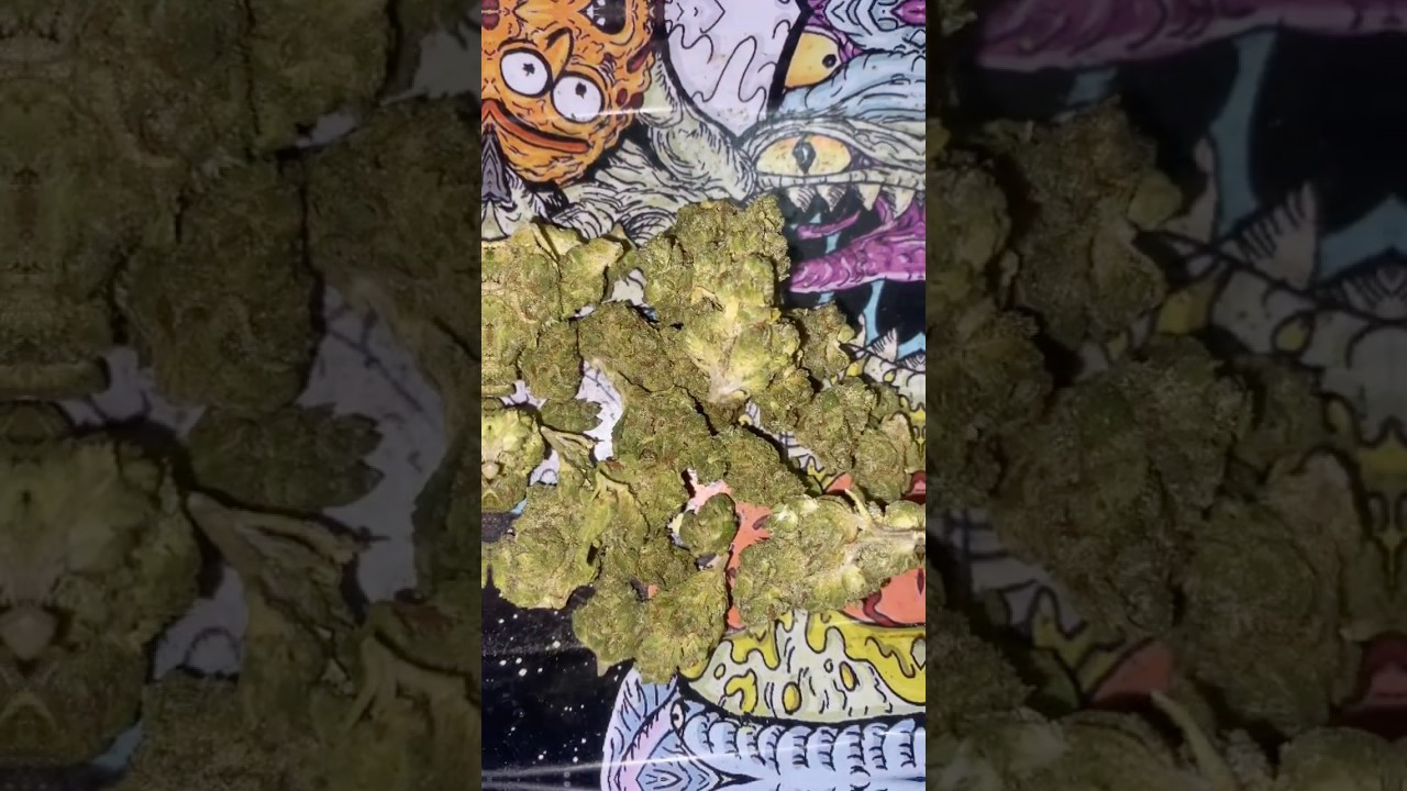 King Louie 14 grams