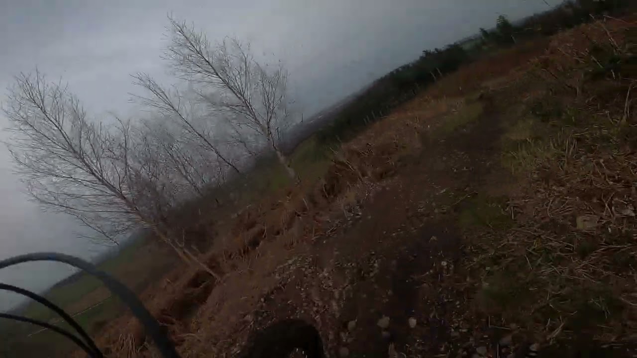 Devils Staircase - Hanchurch Woods MTB