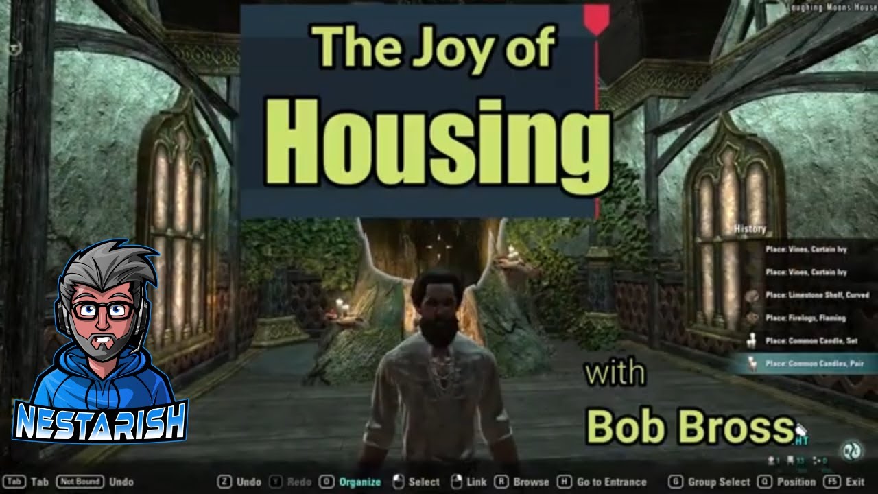 ESO Housing with Bob Bross the Joy of Housing: Ep 2 Bars