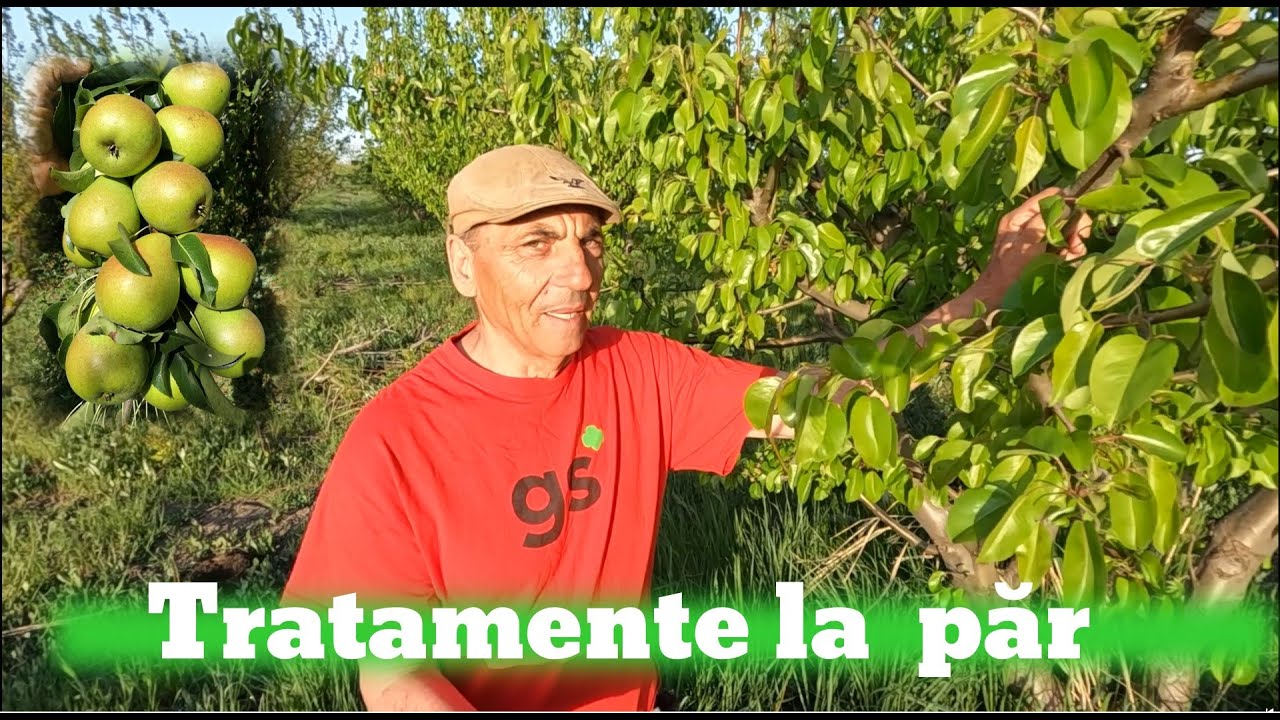 Tratamente la păr