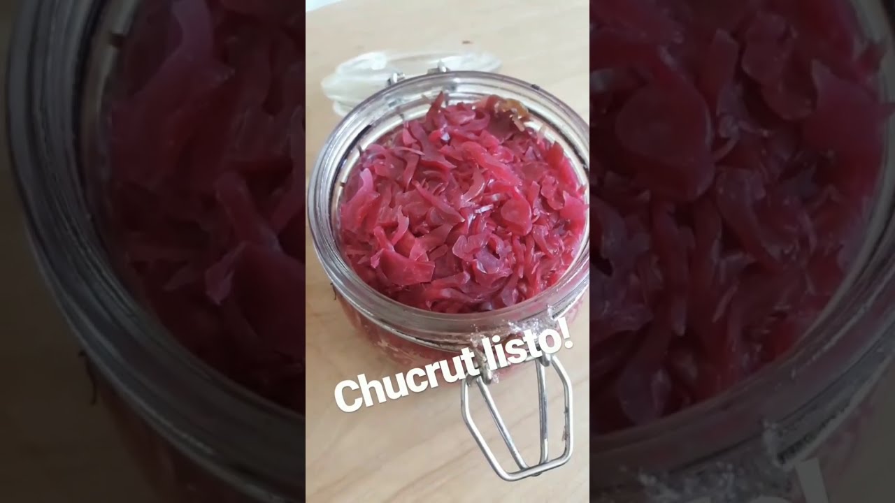 Pruebo Hacer CHUCRUT CASERO - Sale bien? (Repollo Fermentado)