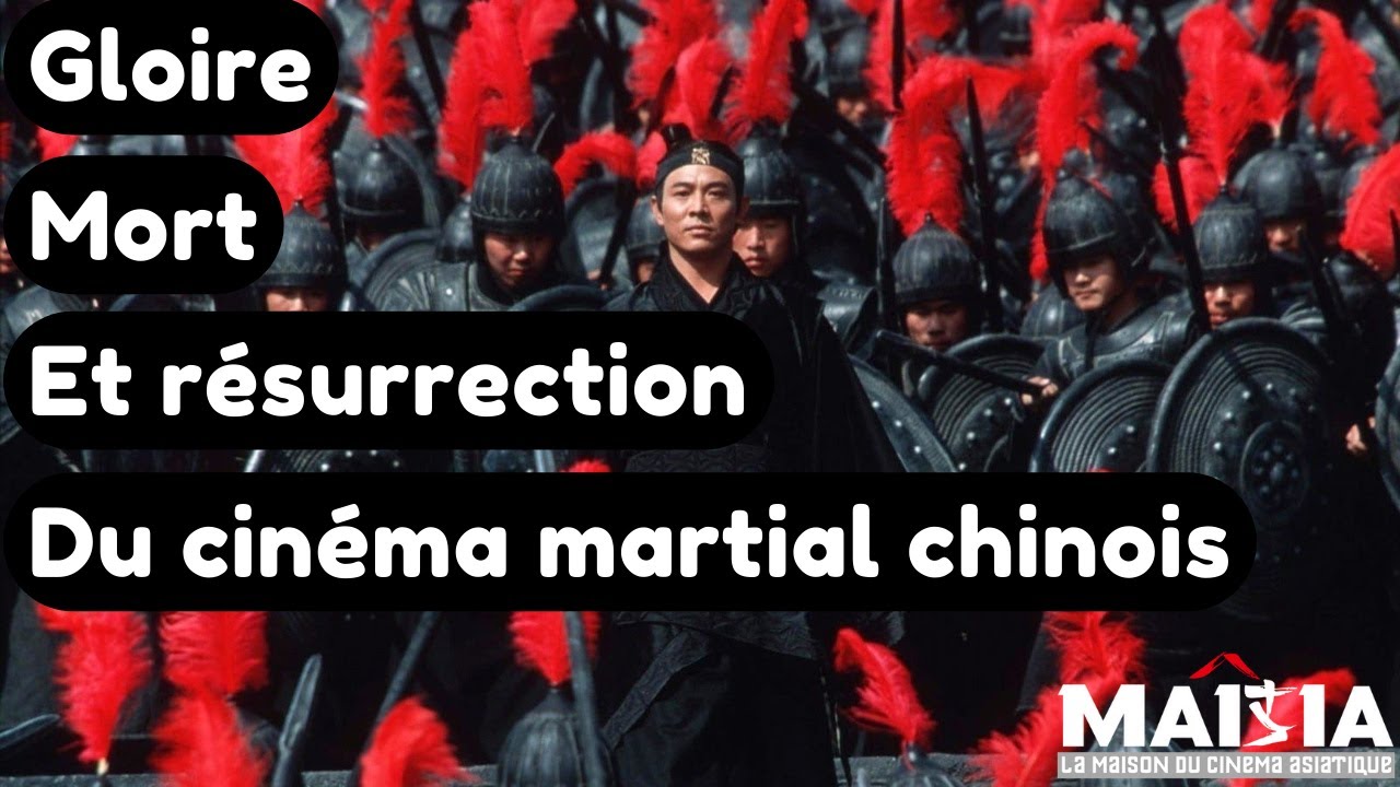 Gloire, Mort et Résurrection du Cinéma Martial Chinois