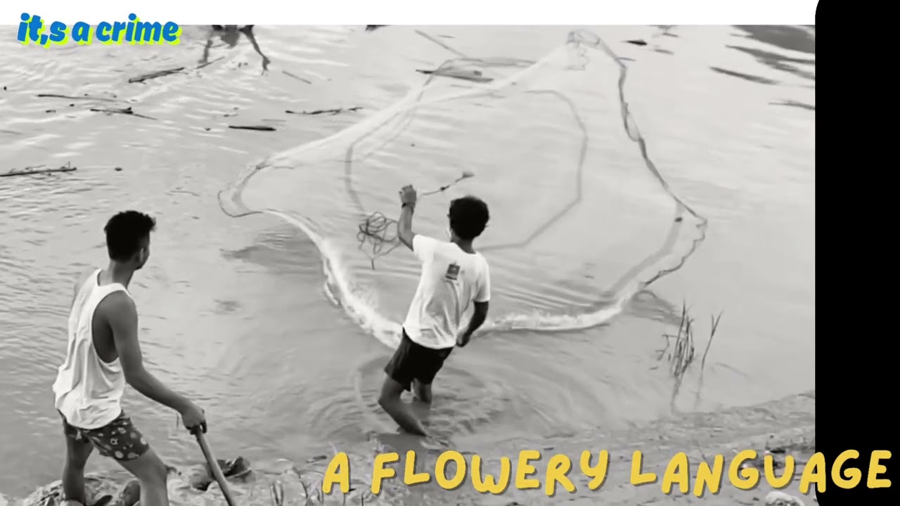 It&rsquo;s a crime ~ a flowery language