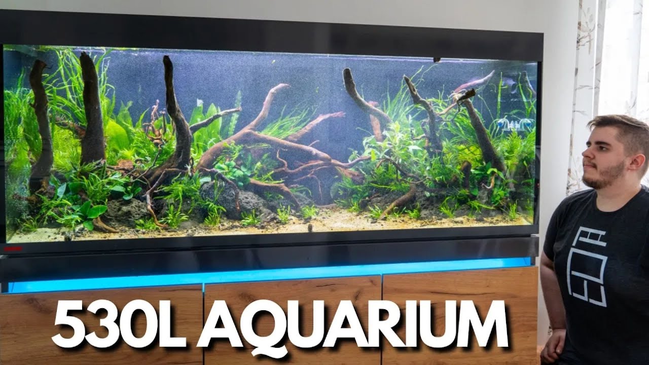 XXL Nature Aquarium einrichten! Eheim Incpiria 530