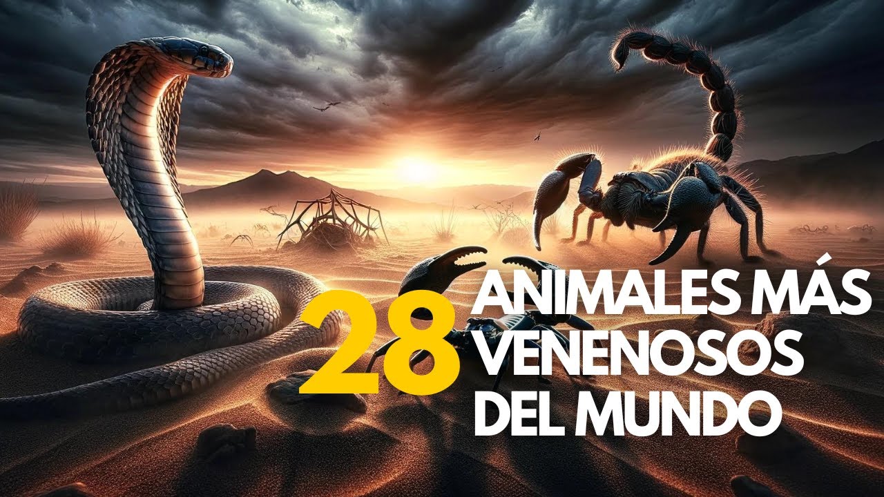 Estos son los 28 Animales M&Aacute;S venenosos del mundo #animalesincreibles #animales #curiosidades