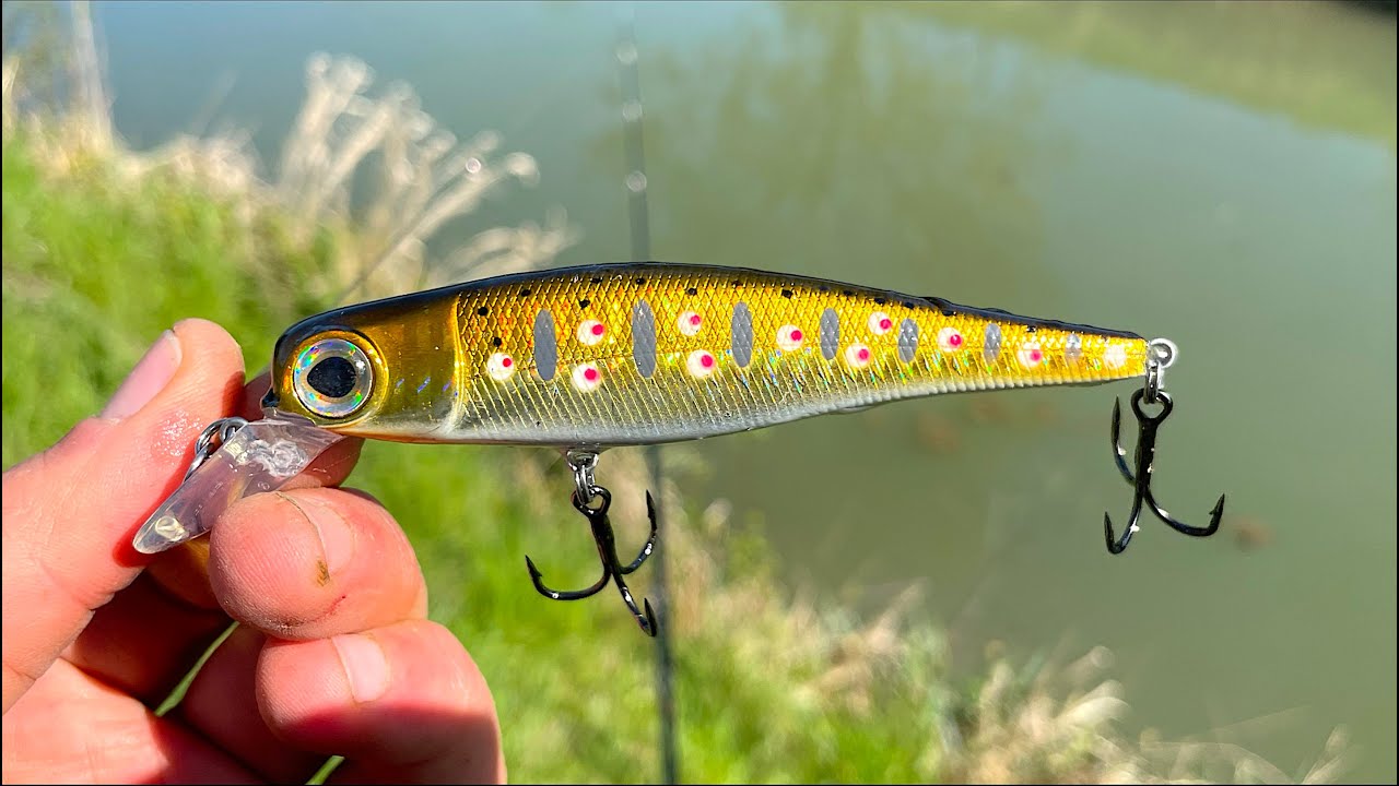 Lancio quest' Esca Artificiale in un PICCOLO CANALE: Cosa abboccher&agrave;?  Spinning ai GROSSI Predatori