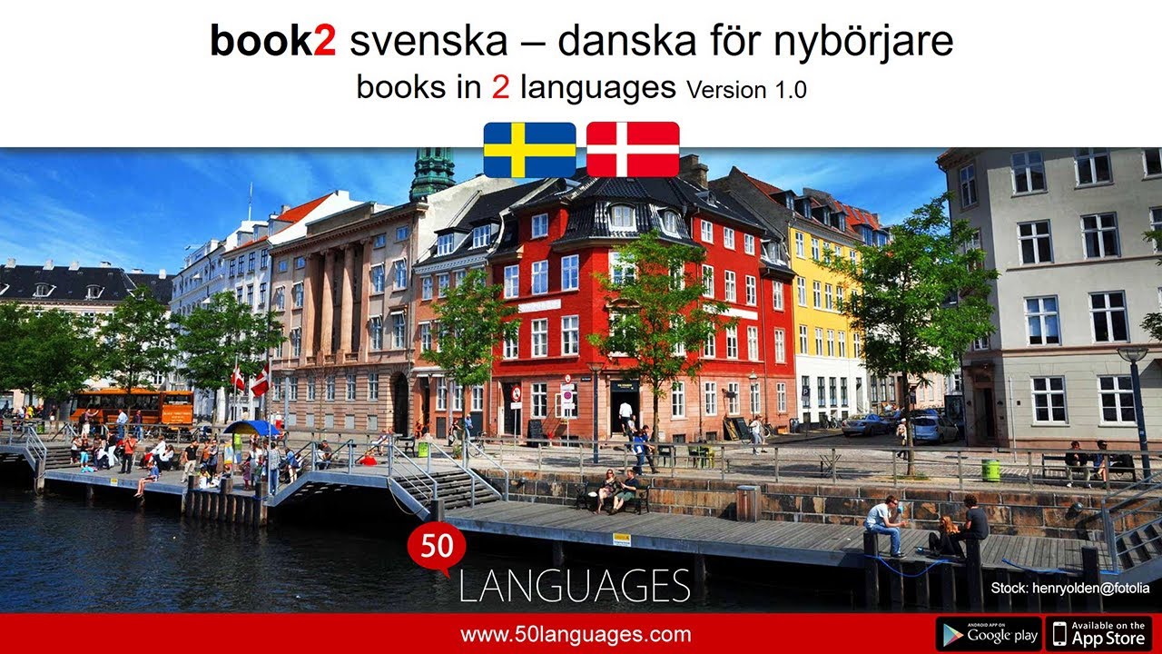 Danska f&ouml;r nyb&ouml;rjare p&aring; 100 lektioner