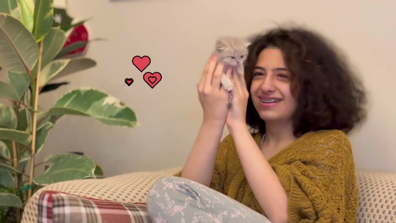 تجارب مو حلوة خضتها بسبب قرارات خاطئة اتخذتها والنتائج 😱