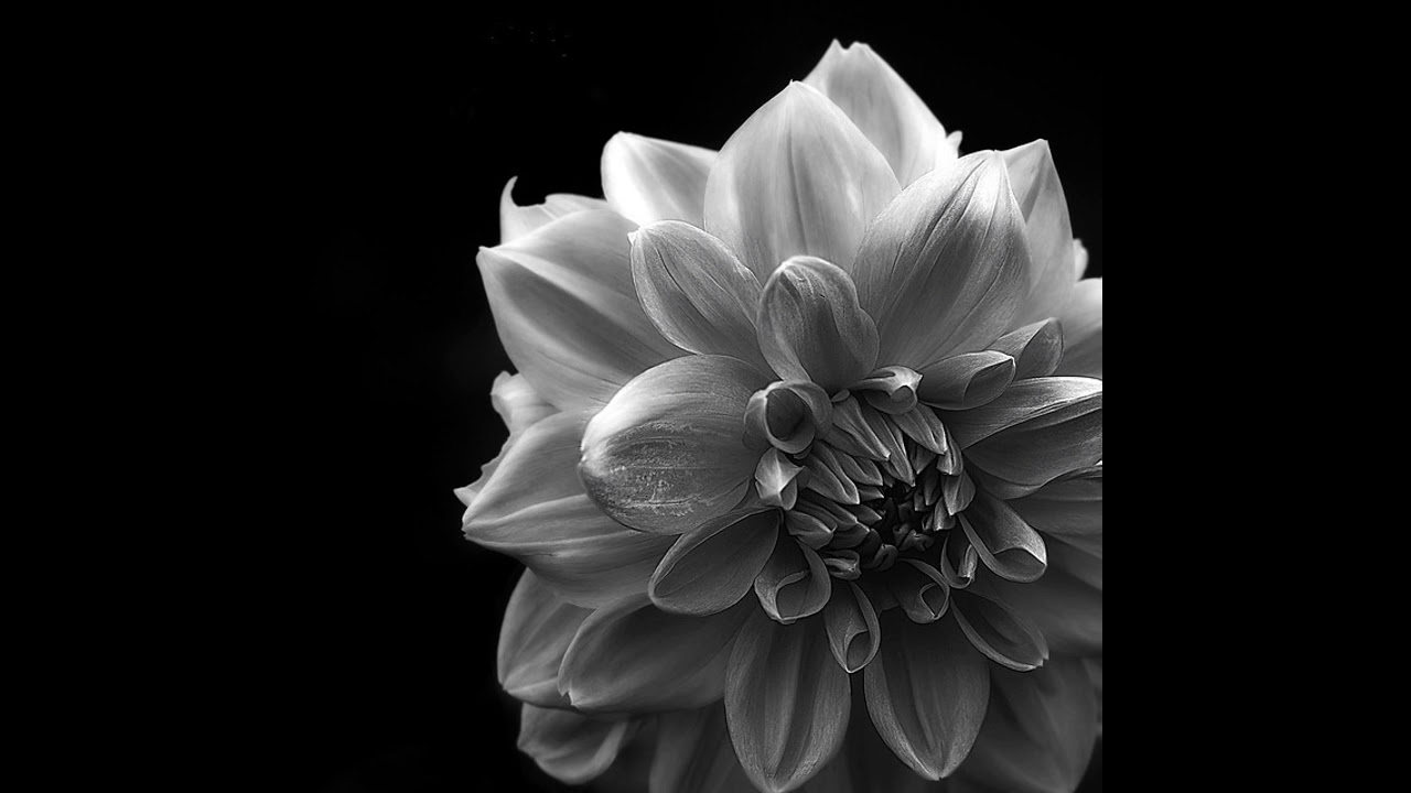 TRANSMISSION OF LIGHT
