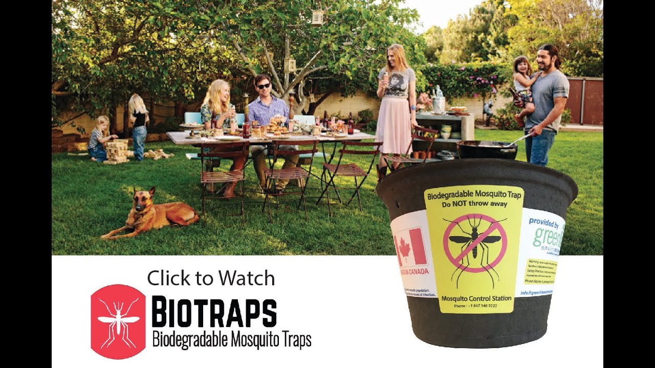 No More Bites! Biotraps, Biodegradable Mosquito Traps (Indiegogo Campaign)