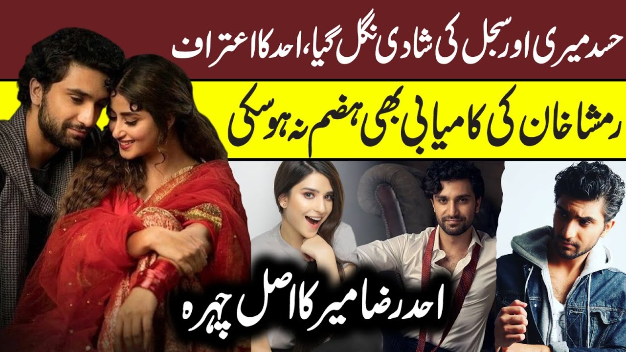 Ahad Raza Mir and Sajal Ali Meeting Again After Divorce | Jealousy is Reason of Divorce | Sajal Ahad